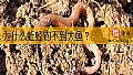 《为什么蚯蚓钓不到大鱼？》封面图