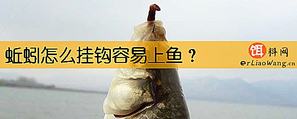 蚯蚓怎么挂钩容易上鱼