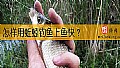 《怎样用蚯蚓钓鱼上鱼快？》封面图