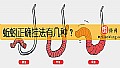 《蚯蚓正确挂法有几种？》封面图