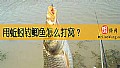 《用蚯蚓钓鲫鱼怎么打窝？》封面图