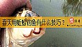 《春天用蚯蚓钓鱼有什么技巧？》封面图