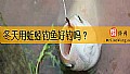 冬天用蚯蚓钓鱼好钓吗?
