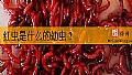 《红虫是什么的幼虫？》封面图