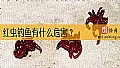 红虫钓鱼有什么危害?