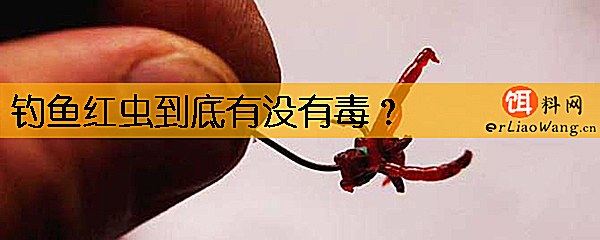 钓鱼红虫到底有没有毒