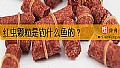 红虫颗粒是钓什么鱼的？