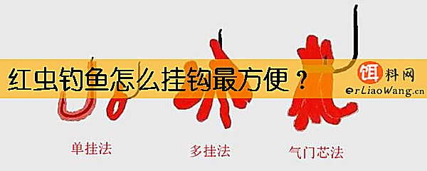 红虫钓鱼怎么挂钩最方便