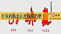 《红虫钓鱼怎么挂钩最方便？》封面图