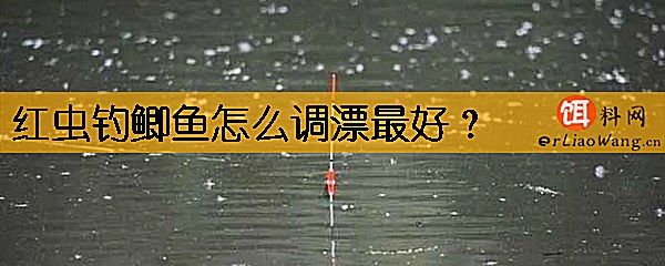 红虫钓鲫鱼怎么调漂最好