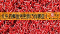 《红虫钓鲫鱼绝密技巧有哪些？》封面图