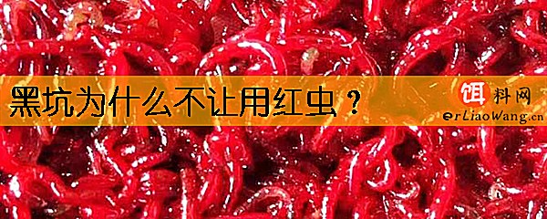 黑坑为什么不让用红虫