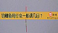 《钓鲫鱼用红虫一般调几目？》封面图