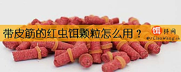 带皮筋的红虫饵颗粒怎么用