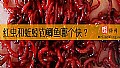 《红虫和蚯蚓钓鲫鱼哪个快？》封面图