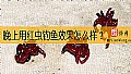 晚上用红虫钓鱼效果怎么样？