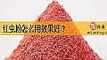 《红虫粉怎么用效果好？》封面图
