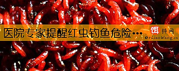 医院专家提醒红虫钓鱼危险是真的吗