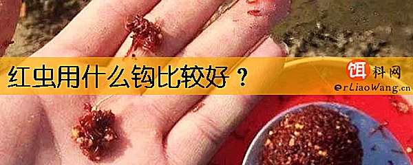 红虫用什么钩比较好