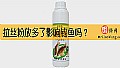 《拉丝粉放多了影响钓鱼吗？》封面图
