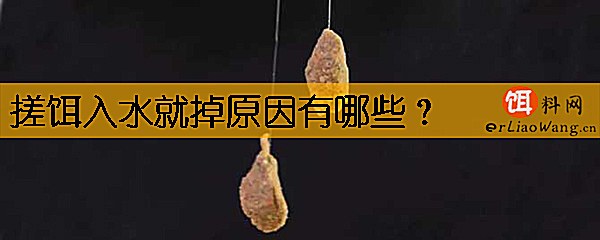 搓饵入水就掉原因有哪些