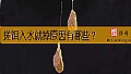 《搓饵入水就掉原因有哪些？》封面图