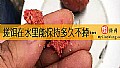 搓饵在水里能保持多久不掉钩？