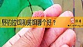 《野钓拉饵和搓饵哪个好？》封面图
