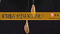 《搓饵能在水里待多久才化？》封面图