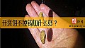 开搓饵不掉钩加什么好？