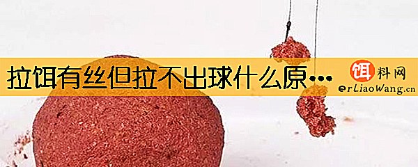 拉饵有丝但拉不出球什么原因