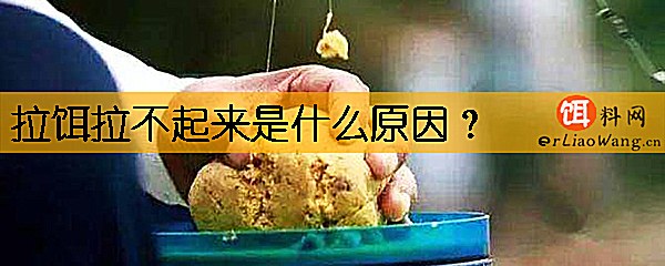 拉饵拉不起来是什么原因