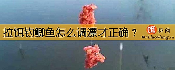 拉饵钓鲫鱼怎么调漂才正确