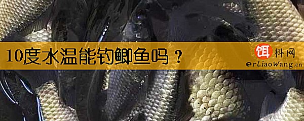 10度水温能钓鲫鱼吗