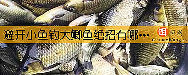 避开小鱼钓大鲫鱼绝招有哪些