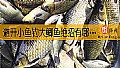 《避开小鱼钓大鲫鱼绝招有哪些？》封面图