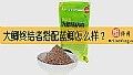《大鲫终结者搭配蓝鲫怎么样？》封面图