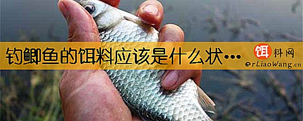 钓鲫鱼的饵料应该是什么状态