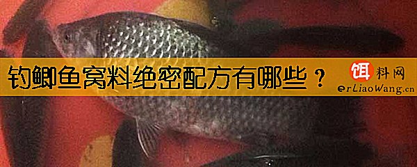 钓鲫鱼窝料绝密配方有哪些