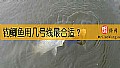 钓鲫鱼用几号线最合适？