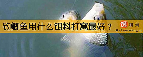 钓鲫鱼用什么饵料打窝最好