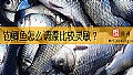 钓鲫鱼怎么调漂比较灵敏？