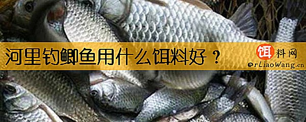 河里钓鲫鱼用什么饵料好