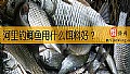 河里钓鲫鱼用什么饵料好？