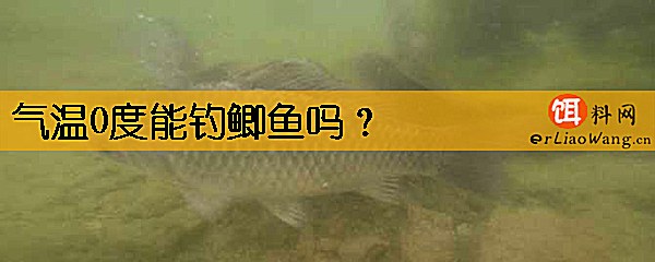 气温0度能钓鲫鱼吗
