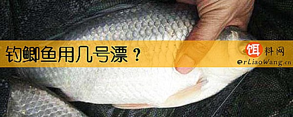 钓鲫鱼用几号漂