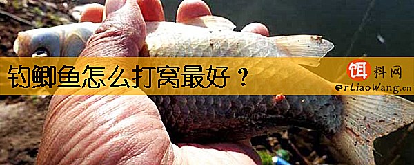 钓鲫鱼怎么打窝最好