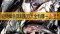 经典鲫鱼饵料配方大全有哪些?