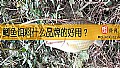 鲫鱼饵料什么品牌的好用？