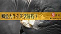 《鲫鱼为什么冬天好钓？》封面图